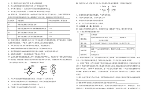 吉林省长春市东北师范大学附属中学2025-2026学年高三上学期第一次摸底考试生物试题_2025年10月