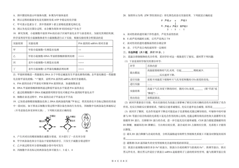吉林省长春市东北师范大学附属中学2025-2026学年高三上学期第一次摸底考试生物试题_2025年10月