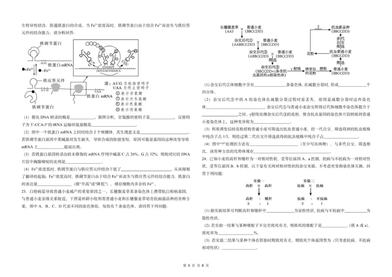 吉林省长春市东北师范大学附属中学2025-2026学年高三上学期第一次摸底考试生物试题_2025年10月