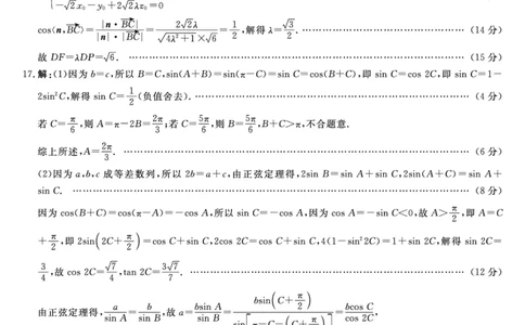 数学试题卷答案_2025年5月_250522河南省金科新未来2025届高三下学期5月联考（全科）_河南省2024-2025学年高三下学期金科新未来5月联考数学