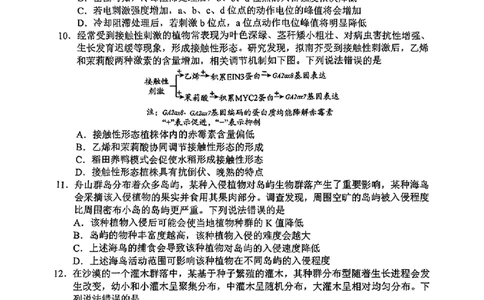 生物试题_2025年4月_2504262025山东省日照市4月高三校际联合考试（日照二模)（全科）