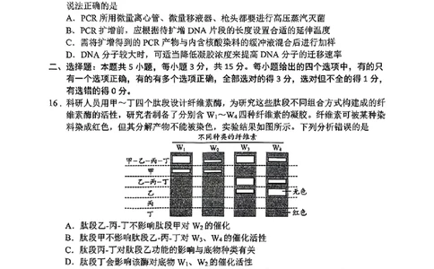 生物试题_2025年4月_2504262025山东省日照市4月高三校际联合考试（日照二模)（全科）