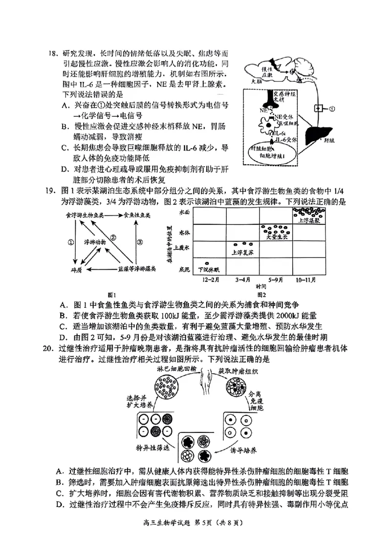 生物试题_2025年4月_2504262025山东省日照市4月高三校际联合考试（日照二模)（全科）