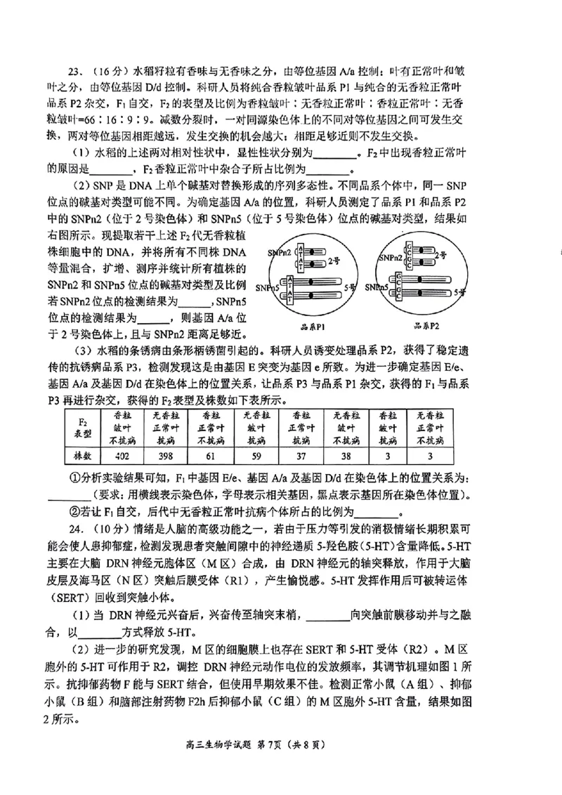 生物试题_2025年4月_2504262025山东省日照市4月高三校际联合考试（日照二模)（全科）