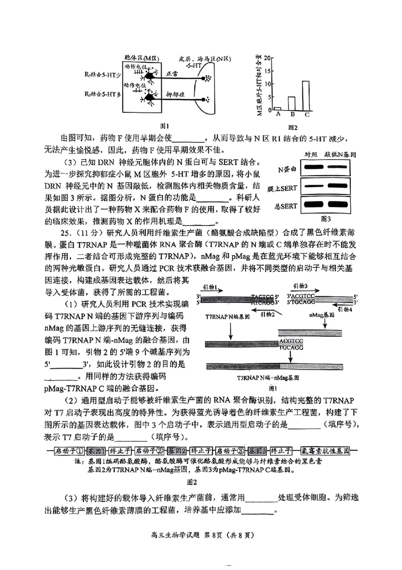 生物试题_2025年4月_2504262025山东省日照市4月高三校际联合考试（日照二模)（全科）
