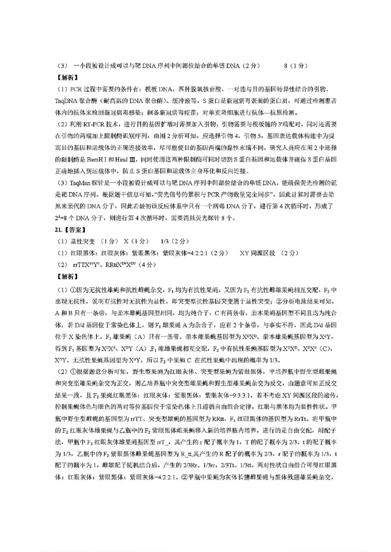 生物答案_2025年1月_250124江西省新八校2025届高三第一次联考（全科）_江西省新八校2025届高三第一次联考生物