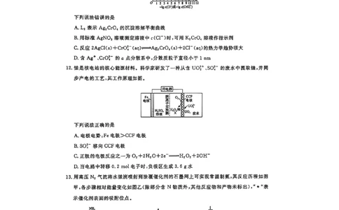 河南省青桐鸣2025届高三2月联考化学+答案_2025年2月_250217河南省青桐鸣2025届高三2月联考（全科）
