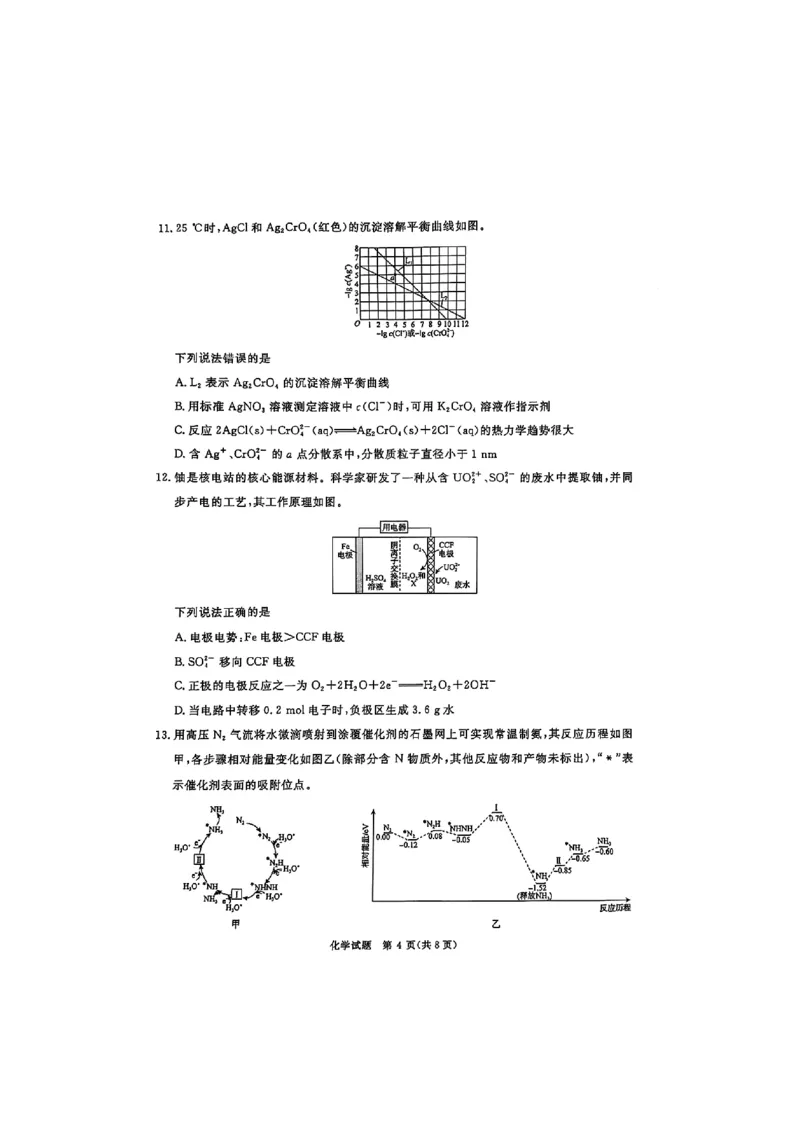 河南省青桐鸣2025届高三2月联考化学+答案_2025年2月_250217河南省青桐鸣2025届高三2月联考（全科）