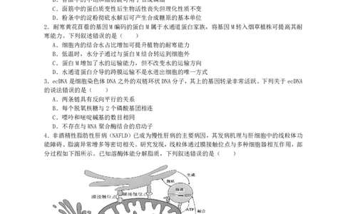 纳溪中学校高2023级高三年级上期第二次月考生物+答案_2025年10月_251023四川省泸州市纳溪中学校高2023级高三年级上期第二次月考（全科）
