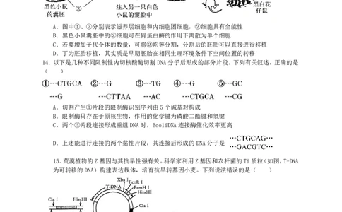 纳溪中学校高2023级高三年级上期第二次月考生物+答案_2025年10月_251023四川省泸州市纳溪中学校高2023级高三年级上期第二次月考（全科）
