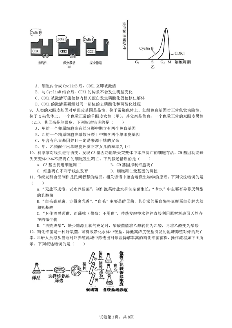 纳溪中学校高2023级高三年级上期第二次月考生物+答案_2025年10月_251023四川省泸州市纳溪中学校高2023级高三年级上期第二次月考（全科）