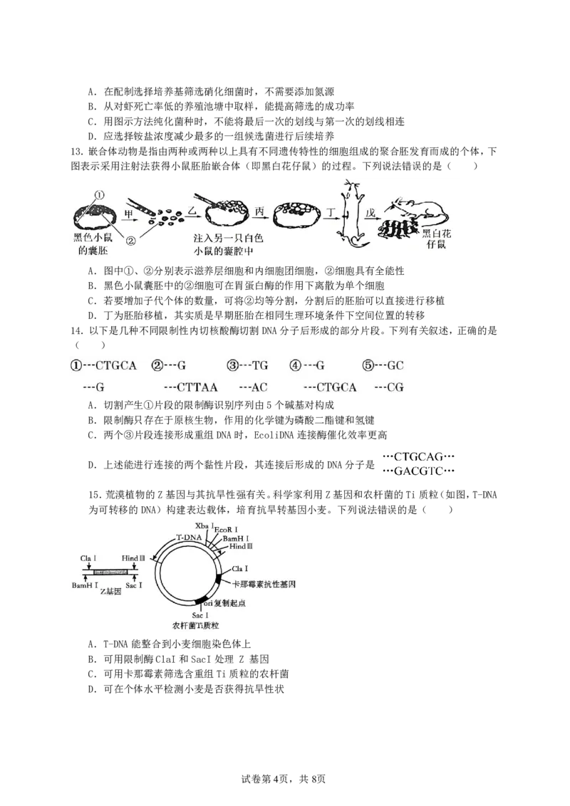 纳溪中学校高2023级高三年级上期第二次月考生物+答案_2025年10月_251023四川省泸州市纳溪中学校高2023级高三年级上期第二次月考（全科）