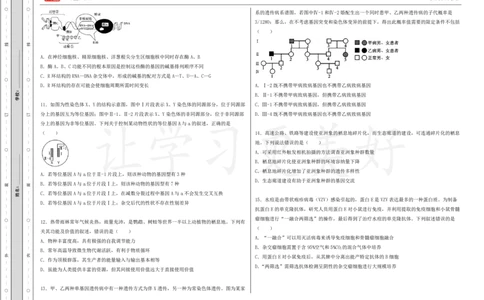 (8.2)-点睛押题卷&mdash;&mdash;安徽卷_2024高考押题卷_132024高途全系列_26高途点睛卷_2024点睛密卷-生物