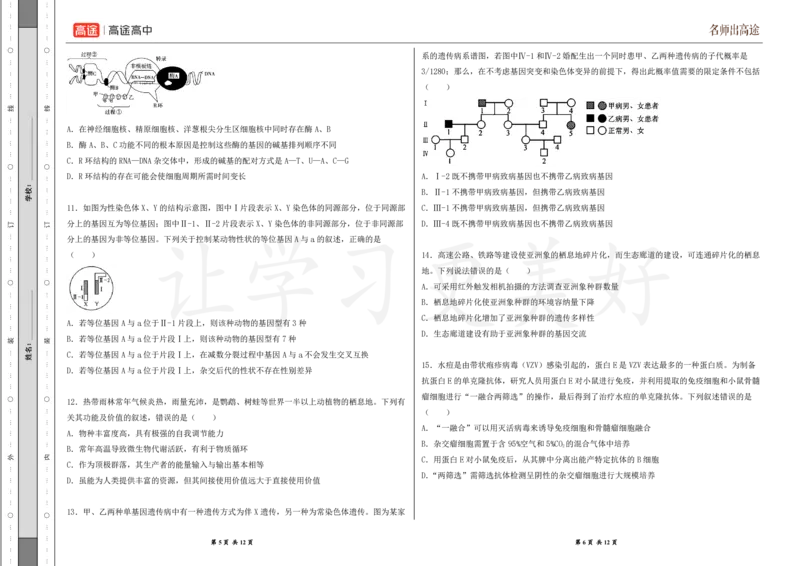 (8.2)-点睛押题卷&mdash;&mdash;安徽卷_2024高考押题卷_132024高途全系列_26高途点睛卷_2024点睛密卷-生物