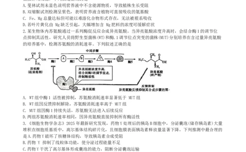 湖南省长沙市雨花区长沙市雅礼中学2024-2025学年高三下学期生物月考试卷（七）_2025年3月_250306湖南省长沙市雅礼中学2024-2025学年高三下学期月考卷（七）（全科）