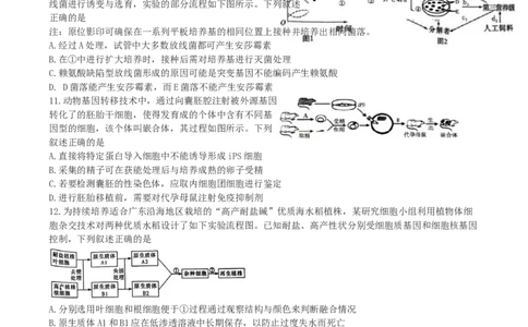 湖南省长沙市雨花区长沙市雅礼中学2024-2025学年高三下学期生物月考试卷（七）_2025年3月_250306湖南省长沙市雅礼中学2024-2025学年高三下学期月考卷（七）（全科）