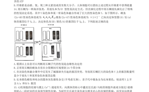 湖南省长沙市雨花区长沙市雅礼中学2024-2025学年高三下学期生物月考试卷（七）_2025年3月_250306湖南省长沙市雅礼中学2024-2025学年高三下学期月考卷（七）（全科）