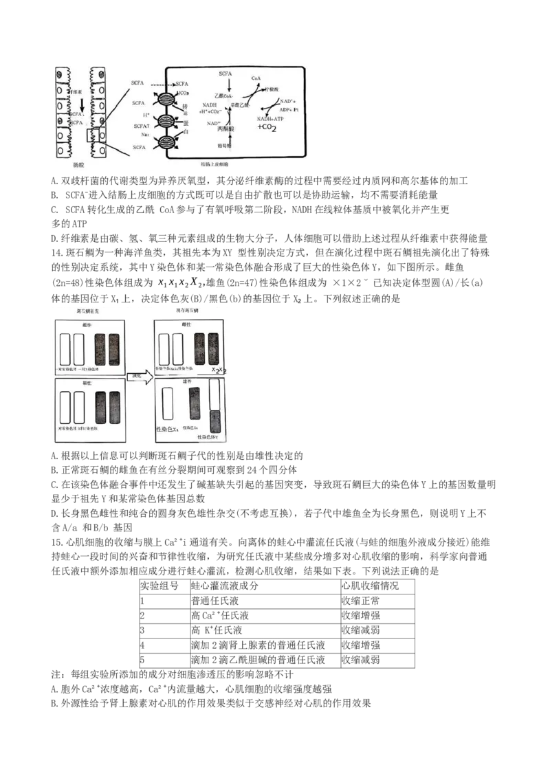 湖南省长沙市雨花区长沙市雅礼中学2024-2025学年高三下学期生物月考试卷（七）_2025年3月_250306湖南省长沙市雅礼中学2024-2025学年高三下学期月考卷（七）（全科）