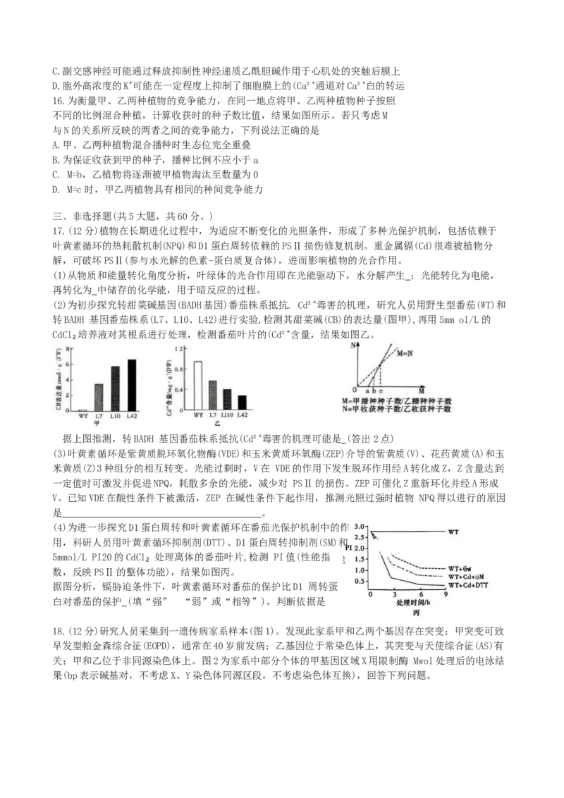湖南省长沙市雨花区长沙市雅礼中学2024-2025学年高三下学期生物月考试卷（七）_2025年3月_250306湖南省长沙市雅礼中学2024-2025学年高三下学期月考卷（七）（全科）