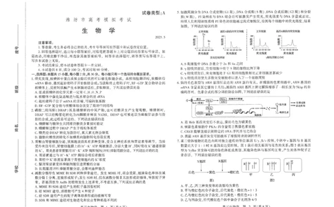 潍坊三模生物试题_2025年5月_250527山东省潍坊三模2025届高考模拟考试（全科）_2025届山东省潍坊市高三下学期三模生物