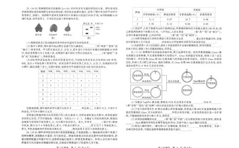 潍坊三模生物试题_2025年5月_250527山东省潍坊三模2025届高考模拟考试（全科）_2025届山东省潍坊市高三下学期三模生物