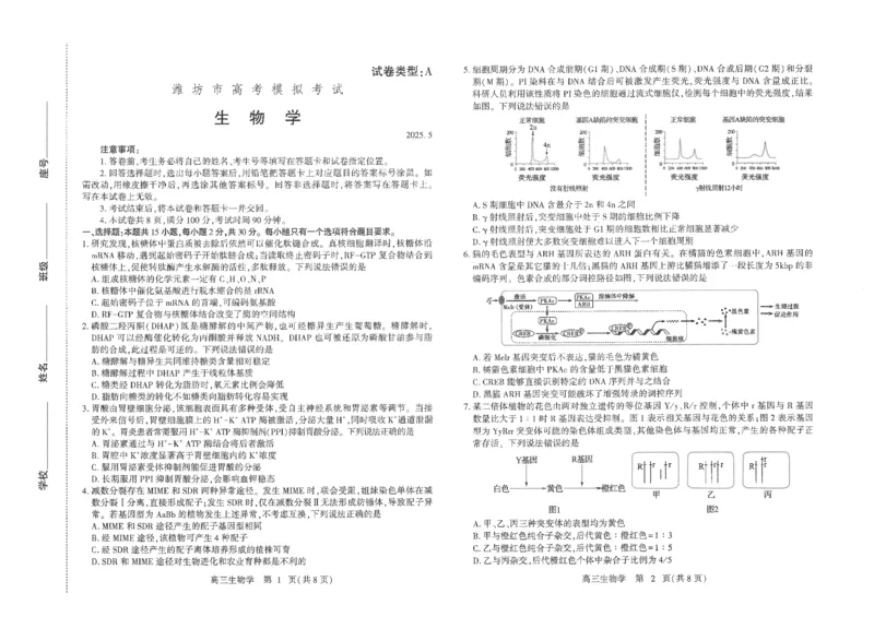 潍坊三模生物试题_2025年5月_250527山东省潍坊三模2025届高考模拟考试（全科）_2025届山东省潍坊市高三下学期三模生物