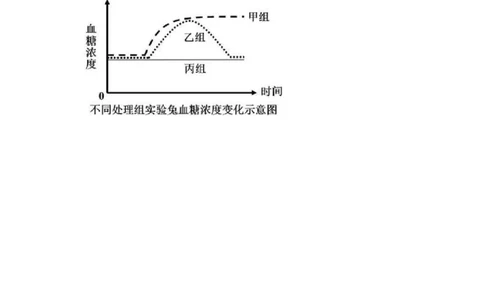 生物答案_2025年4月_2504072024学年第二学期杭州市高三年级教学质量检测（杭州二模）_2025届浙江省杭州市高三二模教学质量检测生物