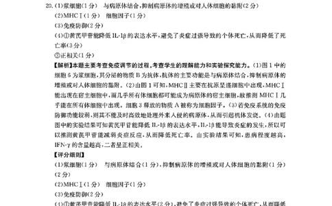 河北省金太阳2025届高三3月联考生物答案_2025年3月_250315河北省金太阳2025届高三3月联考（高三诊断性模拟考试）（全科）_河北省金太阳2025届高三3月联考生物