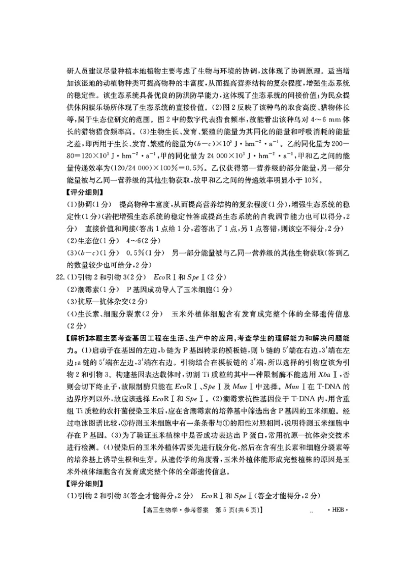 河北省金太阳2025届高三3月联考生物答案_2025年3月_250315河北省金太阳2025届高三3月联考（高三诊断性模拟考试）（全科）_河北省金太阳2025届高三3月联考生物