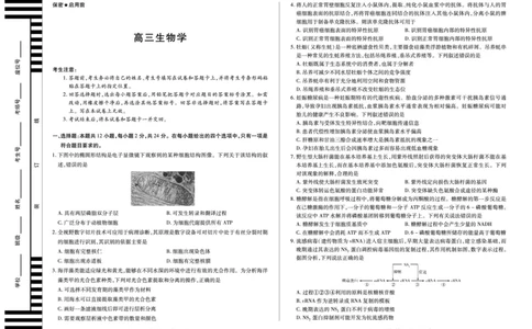 生物学天一大联考&middot;湖南省2026届高三年级上学期开学考_2025年8月_250823湖南省天一大联考2026届高三上学期阶段性检测（一）（全科）