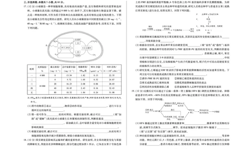 生物学天一大联考&middot;湖南省2026届高三年级上学期开学考_2025年8月_250823湖南省天一大联考2026届高三上学期阶段性检测（一）（全科）