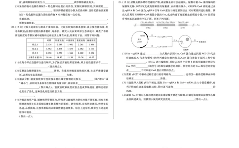 生物学天一大联考&middot;湖南省2026届高三年级上学期开学考_2025年8月_250823湖南省天一大联考2026届高三上学期阶段性检测（一）（全科）