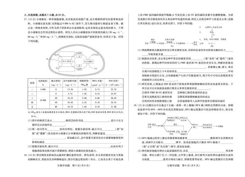 生物学天一大联考&middot;湖南省2026届高三年级上学期开学考_2025年8月_250823湖南省天一大联考2026届高三上学期阶段性检测（一）（全科）