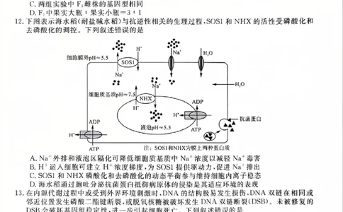 福建省部分地市校2025届高中毕业班3月质量检测生物_2025年3月_250319福建省部分地市校（福州、厦门、泉州、三明、南平、莆田、漳州）2025届高中毕业班3月质量检测