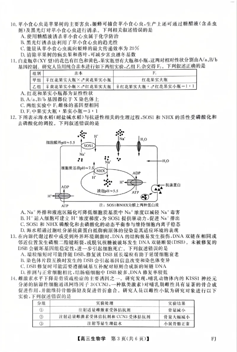 福建省部分地市校2025届高中毕业班3月质量检测生物_2025年3月_250319福建省部分地市校（福州、厦门、泉州、三明、南平、莆田、漳州）2025届高中毕业班3月质量检测