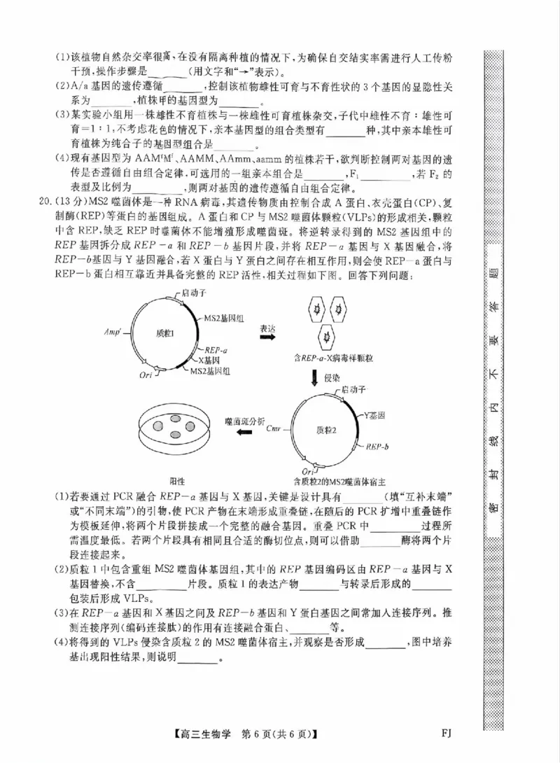 福建省部分地市校2025届高中毕业班3月质量检测生物_2025年3月_250319福建省部分地市校（福州、厦门、泉州、三明、南平、莆田、漳州）2025届高中毕业班3月质量检测
