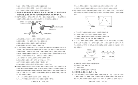 大教育山东联盟2025届高三质量检测第二次联考生物_2025年4月_250414山东省大教育山东联盟2025届高三质量检测第二次联考（全科）