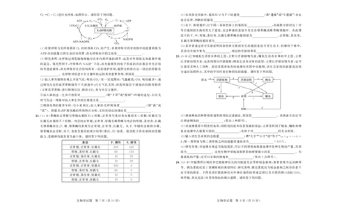 大教育山东联盟2025届高三质量检测第二次联考生物_2025年4月_250414山东省大教育山东联盟2025届高三质量检测第二次联考（全科）