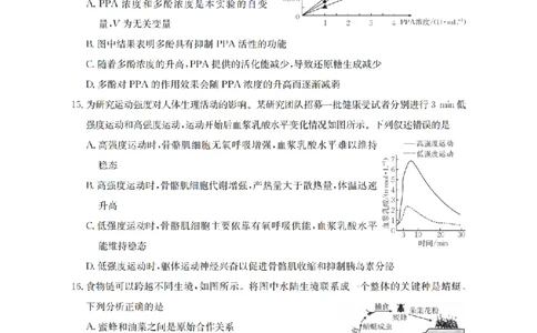 河北省金太阳2026届高三上学期9月开学联考（26-09C）生物_2025年9月_250908河北省金太阳2026届高三上学期9月开学联考（26-09C）（全科）