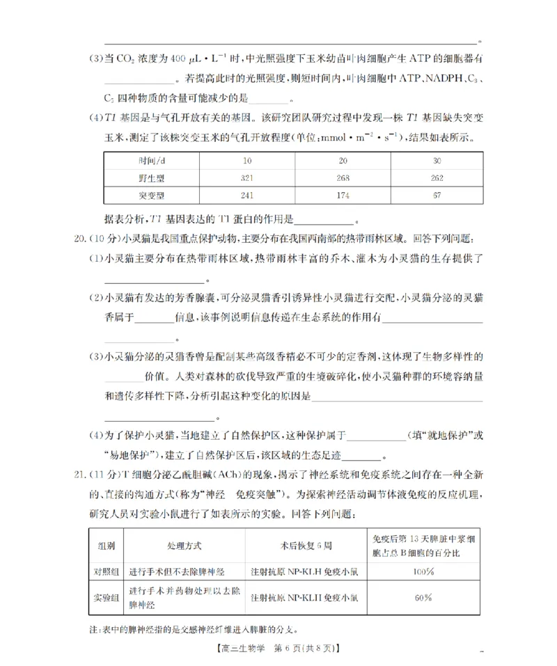 河北省金太阳2026届高三上学期9月开学联考（26-09C）生物_2025年9月_250908河北省金太阳2026届高三上学期9月开学联考（26-09C）（全科）