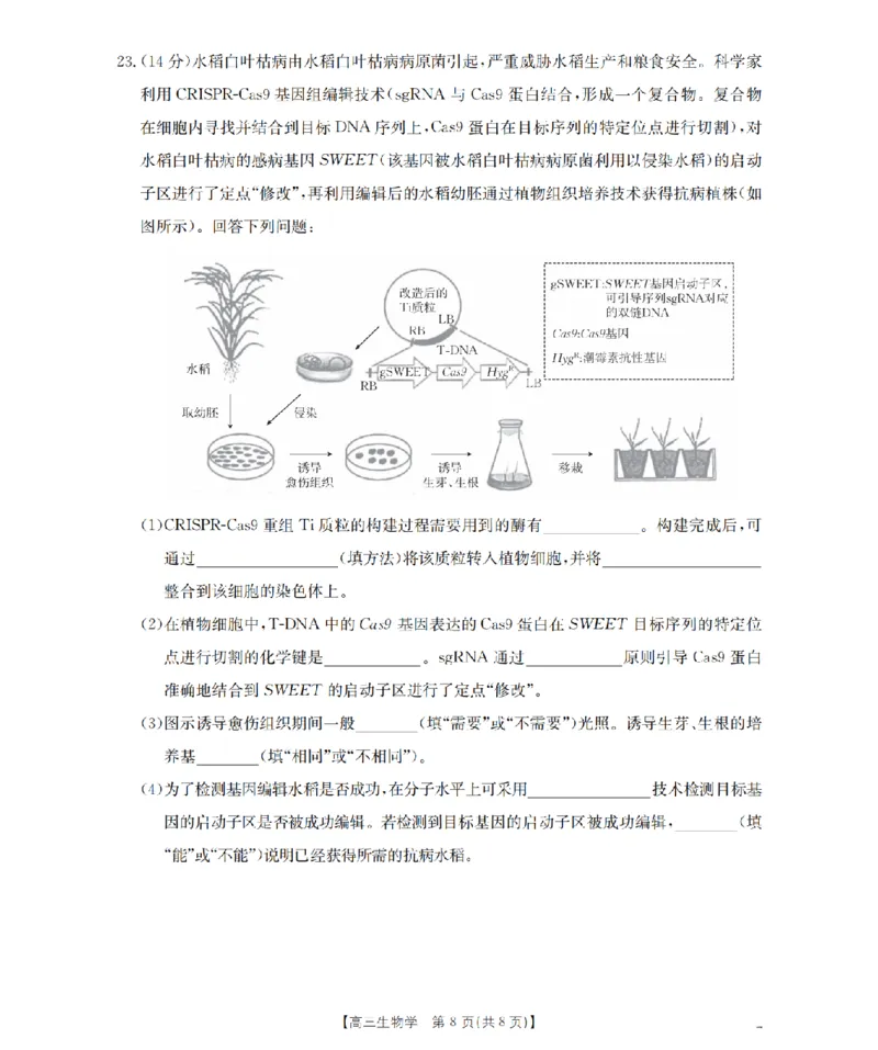 河北省金太阳2026届高三上学期9月开学联考（26-09C）生物_2025年9月_250908河北省金太阳2026届高三上学期9月开学联考（26-09C）（全科）