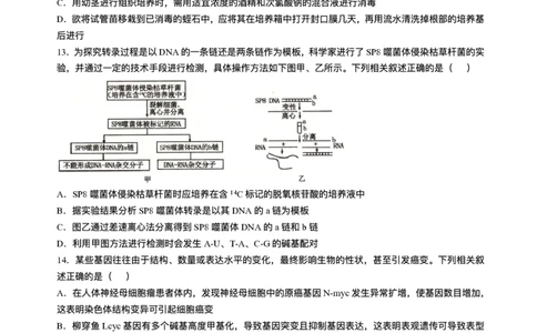 辽宁省抚顺市2024-2025学年高三下学期3月模拟考试生物试卷（含答案）_2025年3月_250314辽宁省抚顺市2024-2025学年高三下学期3月模拟考试（全科）