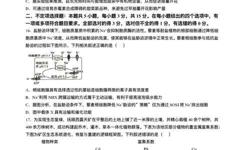 辽宁省抚顺市2024-2025学年高三下学期3月模拟考试生物试卷（含答案）_2025年3月_250314辽宁省抚顺市2024-2025学年高三下学期3月模拟考试（全科）