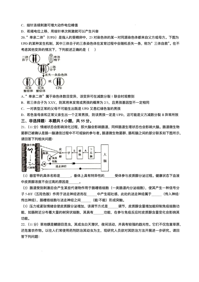 辽宁省抚顺市2024-2025学年高三下学期3月模拟考试生物试卷（含答案）_2025年3月_250314辽宁省抚顺市2024-2025学年高三下学期3月模拟考试（全科）