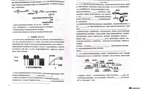 陕西省三重教育2025届高考预测卷（二）生物试题+答案_2025年2月_250206陕西省三重教育2025届高考预测卷（二）