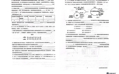 陕西省三重教育2025届高考预测卷（二）生物试题+答案_2025年2月_250206陕西省三重教育2025届高考预测卷（二）