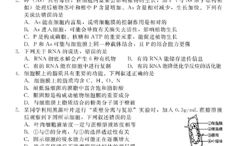 河北省NT202025&mdash;2026学年高三上学期10月联考生物试题（含答案）_2025年10月_251018河北省NT202025&mdash;2026学年高三上学期10月联考（全科）
