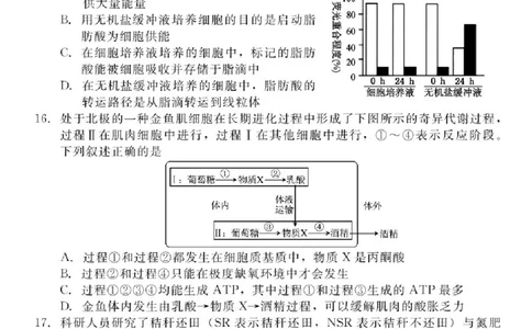河北省NT202025&mdash;2026学年高三上学期10月联考生物试题（含答案）_2025年10月_251018河北省NT202025&mdash;2026学年高三上学期10月联考（全科）