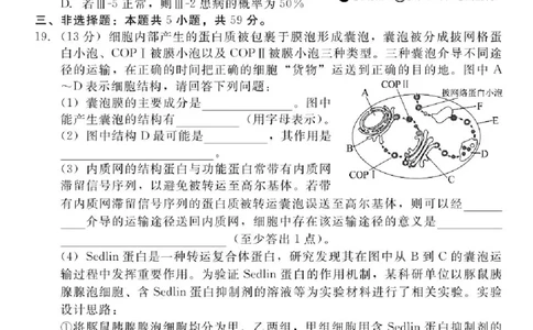 河北省NT202025&mdash;2026学年高三上学期10月联考生物试题（含答案）_2025年10月_251018河北省NT202025&mdash;2026学年高三上学期10月联考（全科）