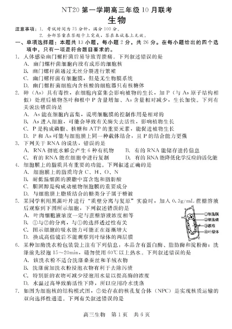 河北省NT202025&mdash;2026学年高三上学期10月联考生物试题（含答案）_2025年10月_251018河北省NT202025&mdash;2026学年高三上学期10月联考（全科）